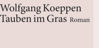 Rassistische Pflichtlektüre "Tauben im Gras"