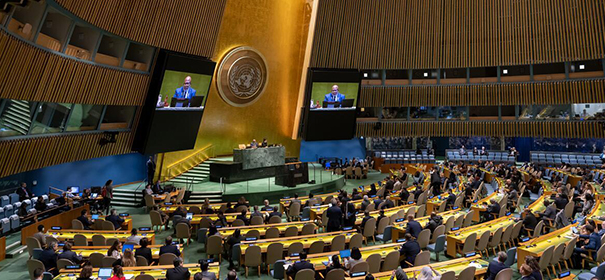UN-Vollversammlung - © UN Photo/Manuel Elías