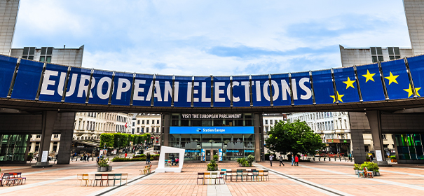 Wahlprogramme, Europawahlen