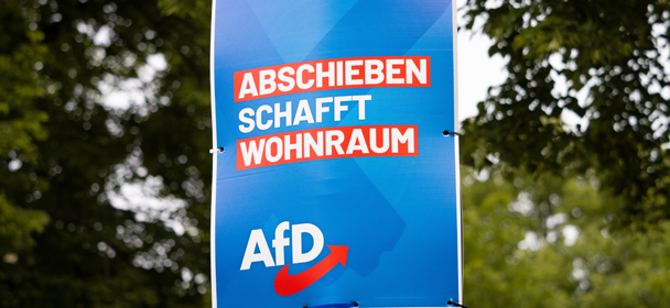 AfD © Shutterstock